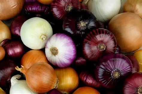 Cebollas